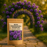 Rosa Trepadora Encanto Perene - Cosecha Premium 24/25 + Bonos Limitados + Entrega Gratis