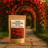 Rosa Trepadora Encanto Perene - Cosecha Premium 24/25 + Bonos Limitados + Entrega Gratis