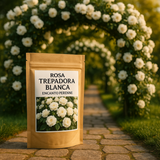 Rosa Trepadora Encanto Perene - Cosecha Premium 24/25 + Bonos Limitados + Entrega Gratis