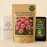 Rosa Trepadora Encanto Perene - Cosecha Premium 24/25 + Bonos Limitados + Entrega Gratis